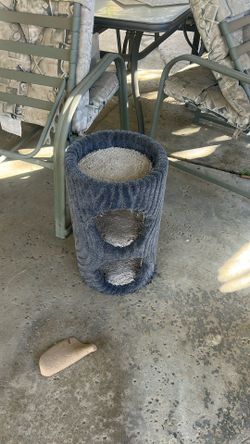 Cat Tree 