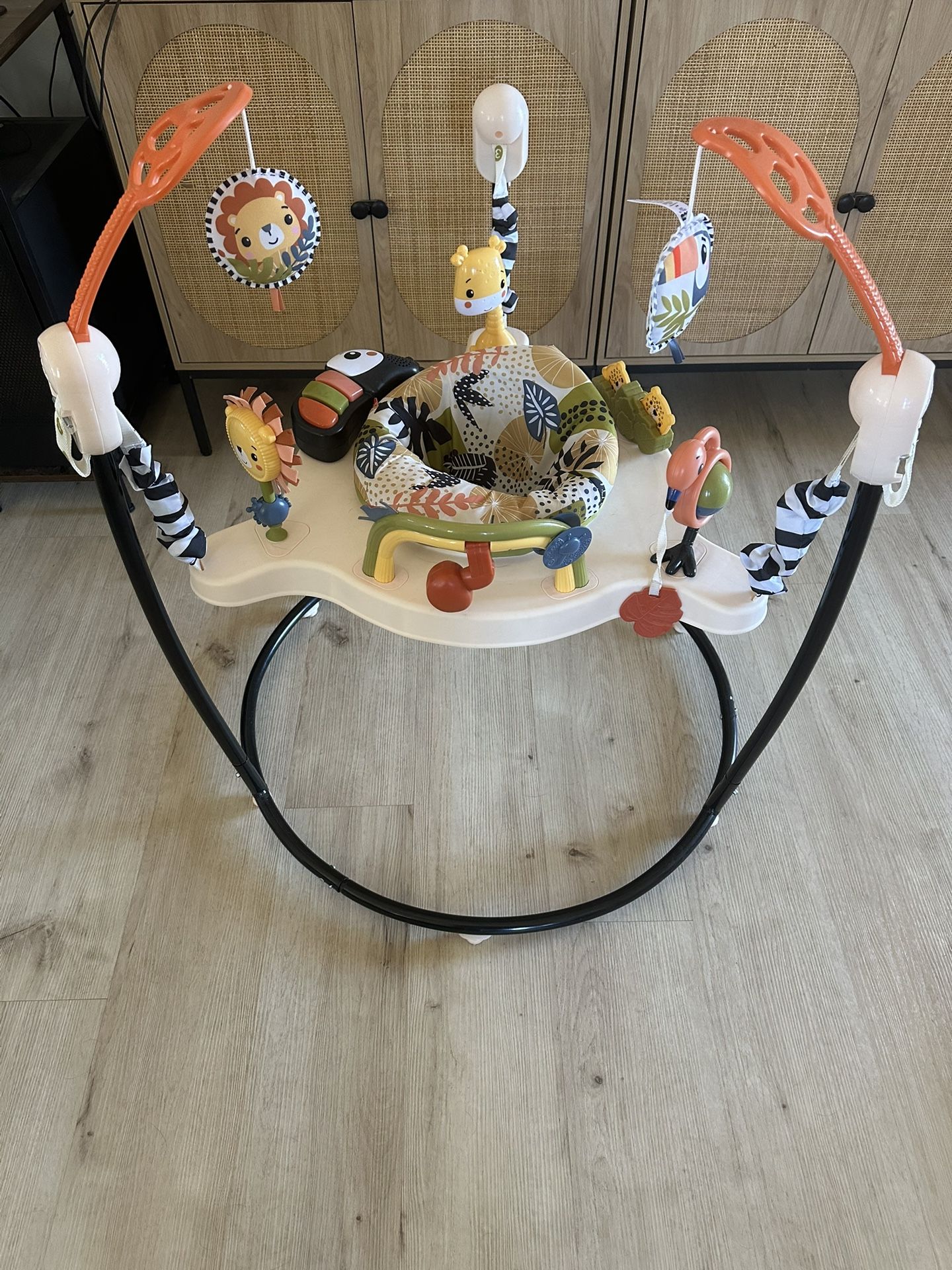 Fisher Price Baby Bouncer