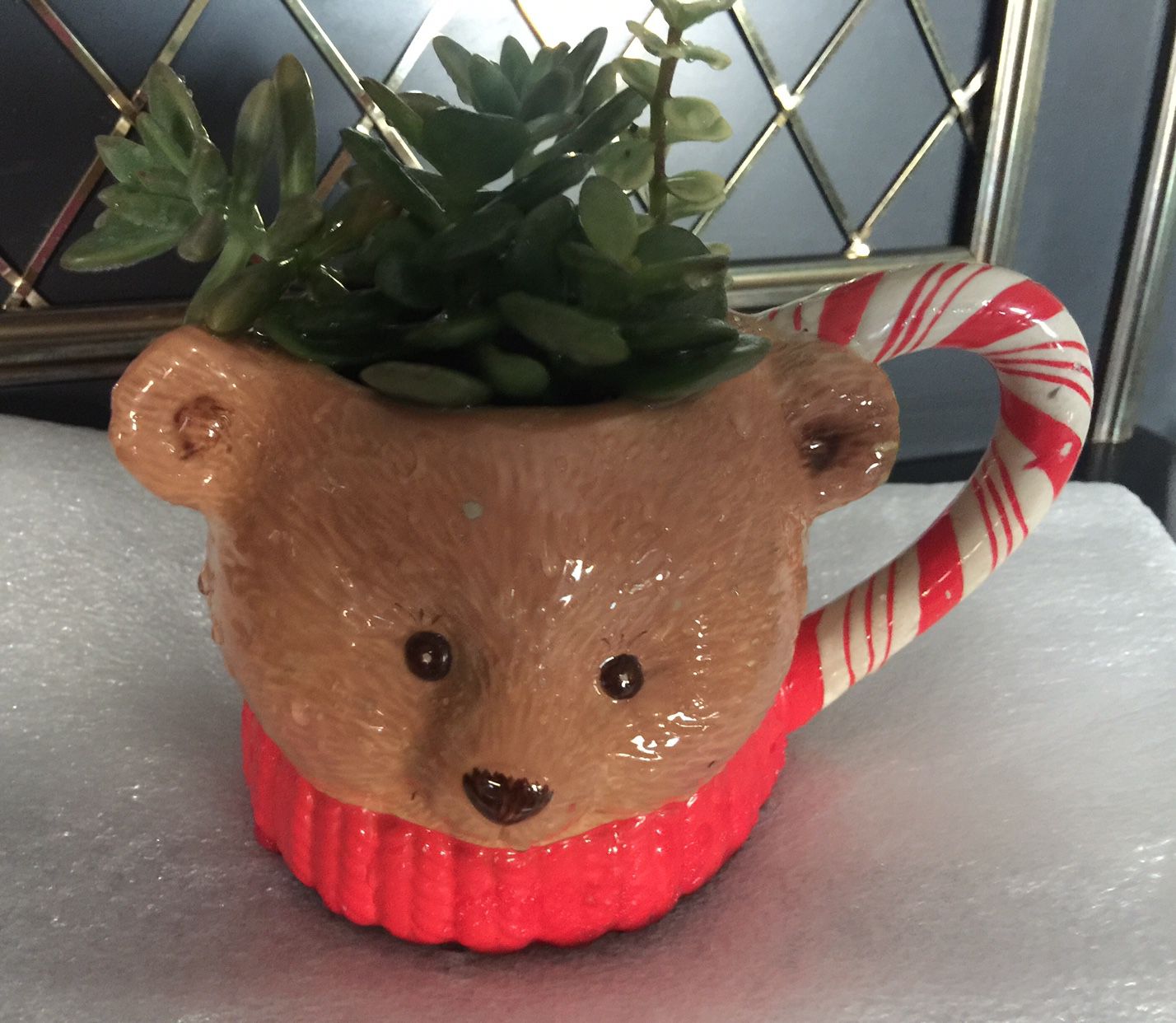 Christmas Teddy Bear Succulent Plant Ceramic Cup 🎄🤶🏽