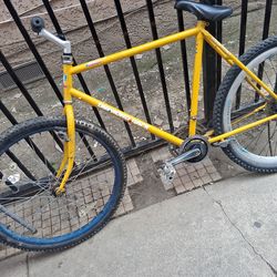 Mountain diamond bike