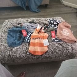 Dog Clothes 