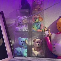 Beanie Baby Collection