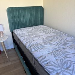 Twin Velvet Bed With Twin Mattress And Box Spring 