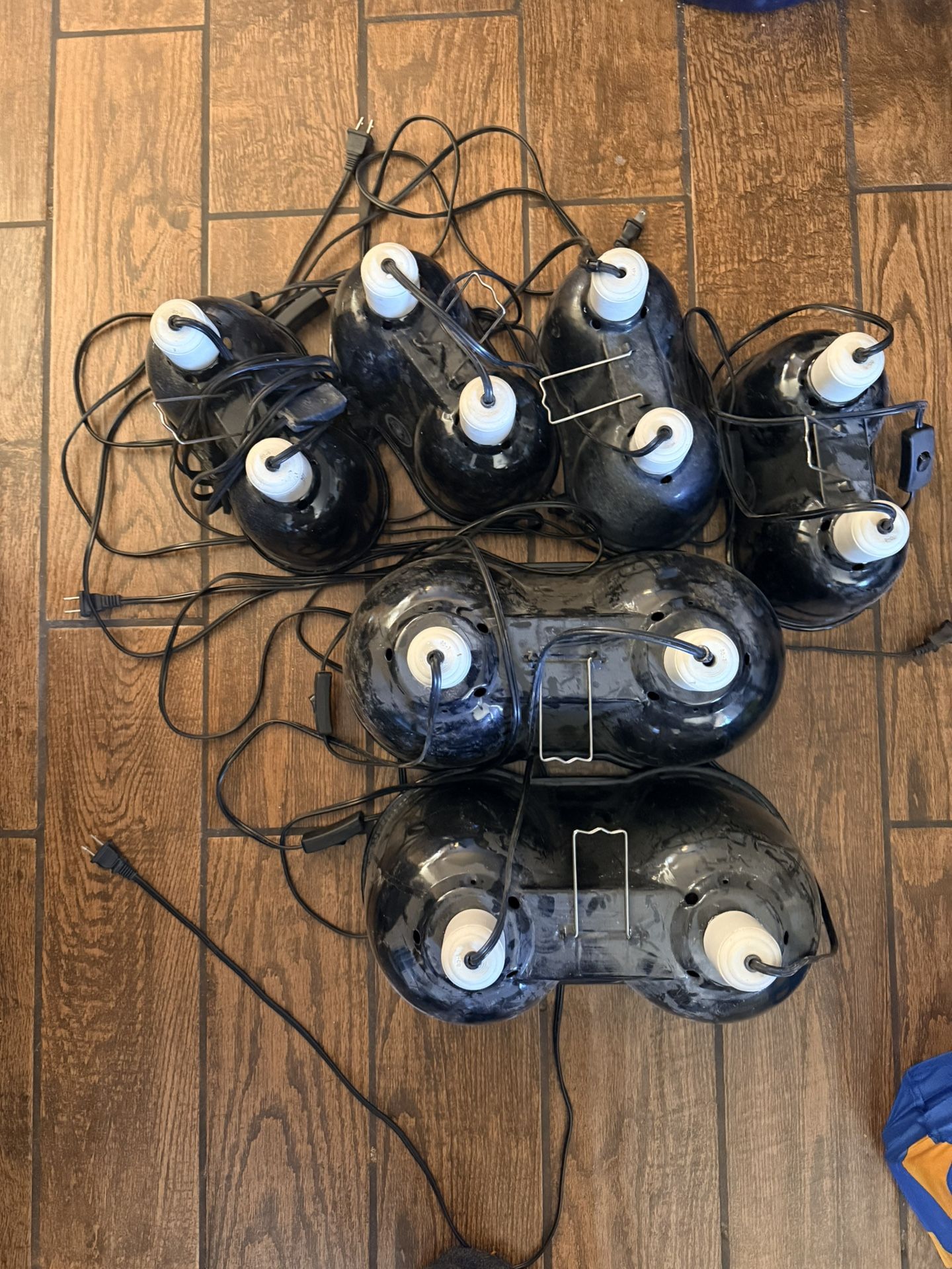 Dual Reptile Lamp Lot