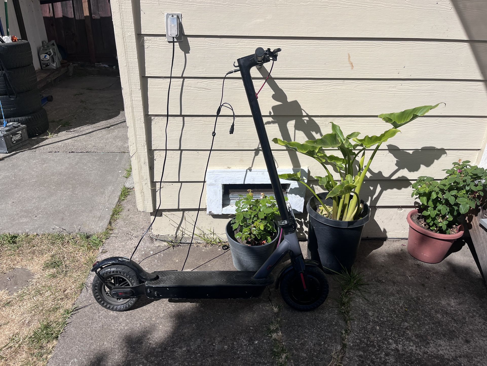 Electric Scooter