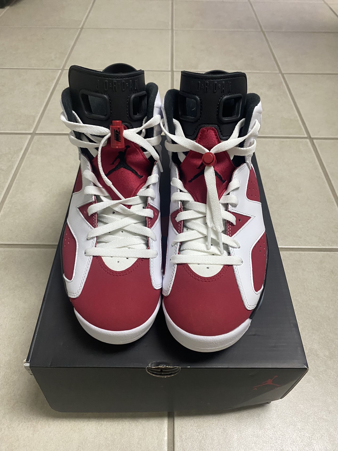 Air Jordan 6 Carmine (2021)