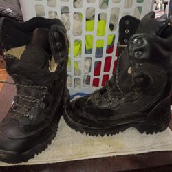 Cabelas Men's Insulated & Waterproof Boots 