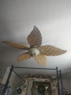 Ceiling Fan