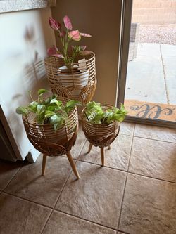 Set of 3 Boho Rattan Wooden Plant Stands w/ live PLANTS !