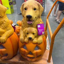 2026 Home Depot Home Accents Halloween 30" Golden Retriever Blow Mold 2.5ft