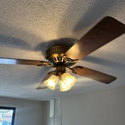 Ceiling fan