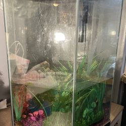fishbowl