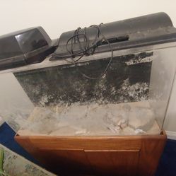 Saltwater Aquarium With Stand