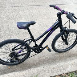 Trek Precaliber 20 Lightweight Aluminum Frame 6-speed 20-inch Wheels Trek 