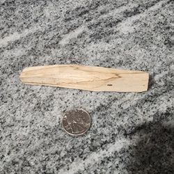 Palo Santo Or Sage 