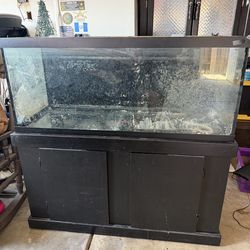 75 Gallon Fish Tank with Canister Filter