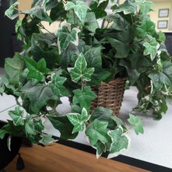 Artificial Faux English Ivy Plant