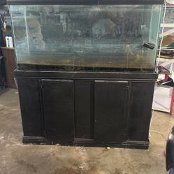 60 Gallon Fish Tank