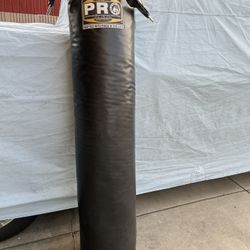 Pro PBS Punching Bag 