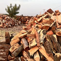 Wood Stove Firewood 