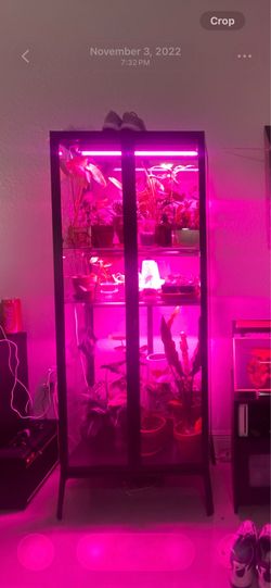 IKEA Glass Cabinet (comes with daylight grow lights)