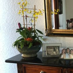 🌿🌷 Bromelia & Orquídeas 🌷🌿
