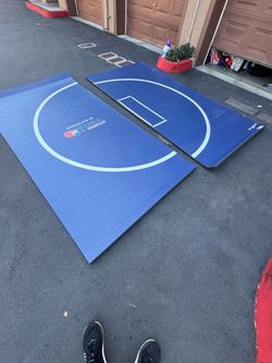 Dollamur Wrestling Mat