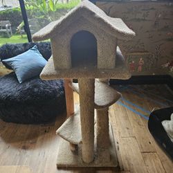 Cat Scratching Post 