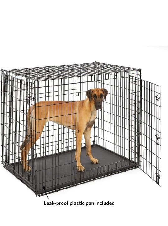 dog kennel 