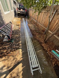 Scaffold Plank