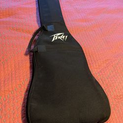 Peavey Guitar & Amp