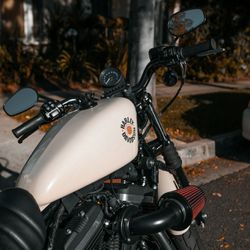 2022 Harley Davidson Iron 883 