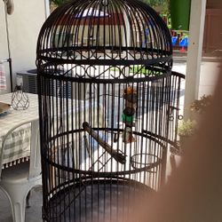 BIRD  CAGE 