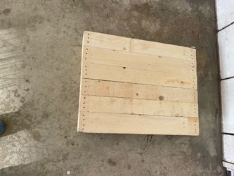 31x24x5 Solid Top Wood Pallet