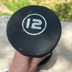 12 Lbs Dumbbell 