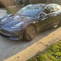 Telsa 2020 Stand Rang Plus 