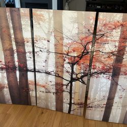 Wall Art -  Three Panel - Firm $25 Takes It.