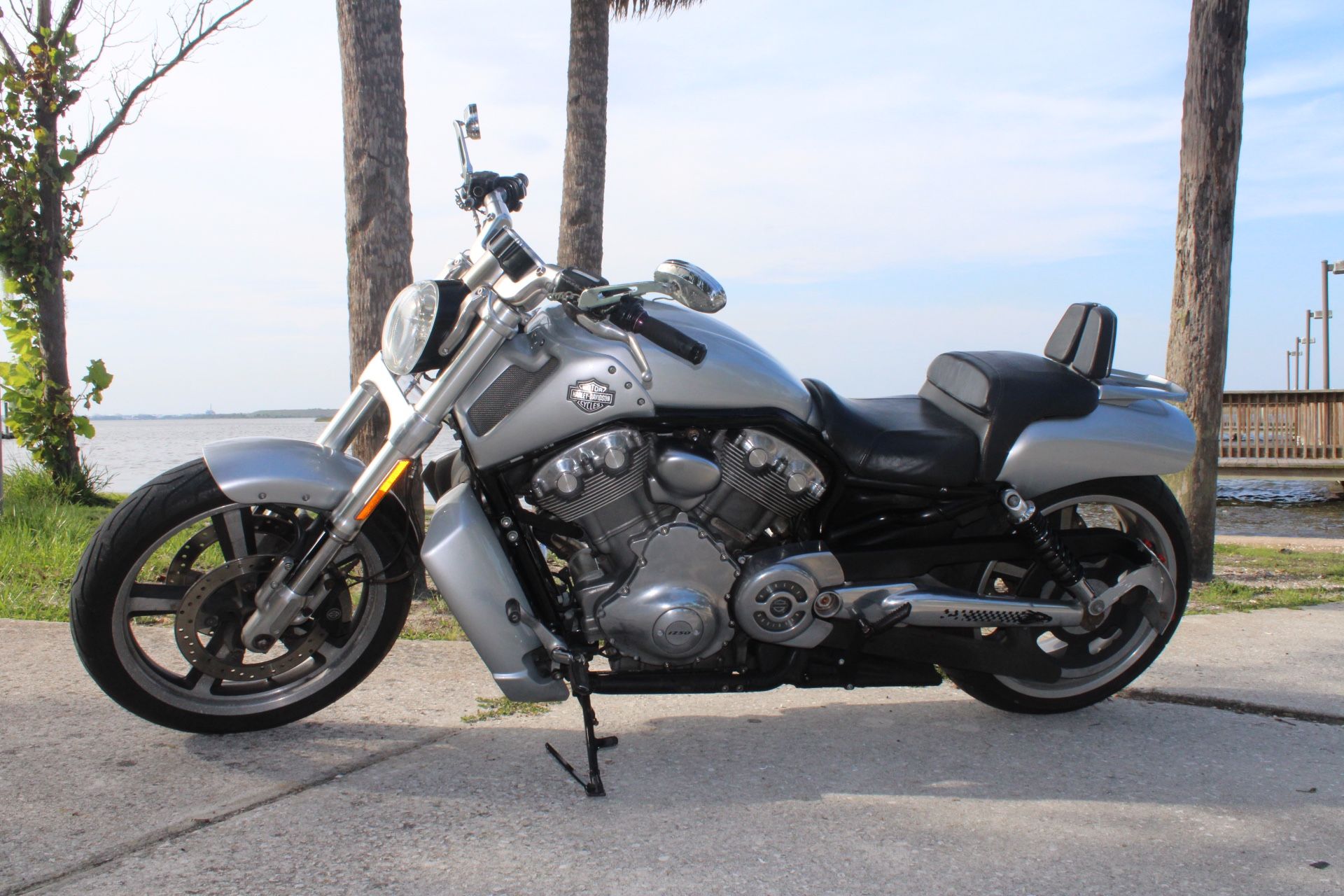 2009 Harley-Davidson V Rod Muscle