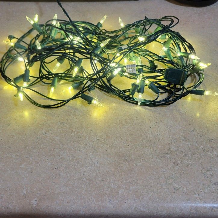 Christmas Lights - 100 Count White Lights
