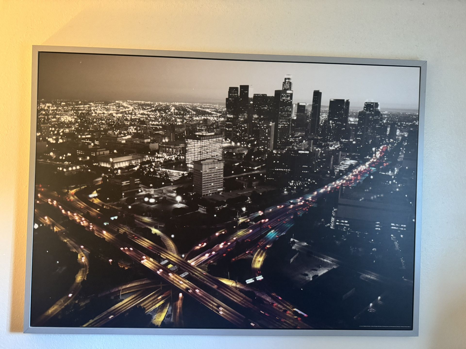 Los Angeles City Landscape Portrait