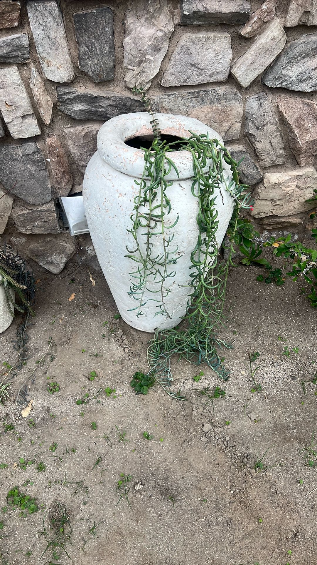 Cement Planters