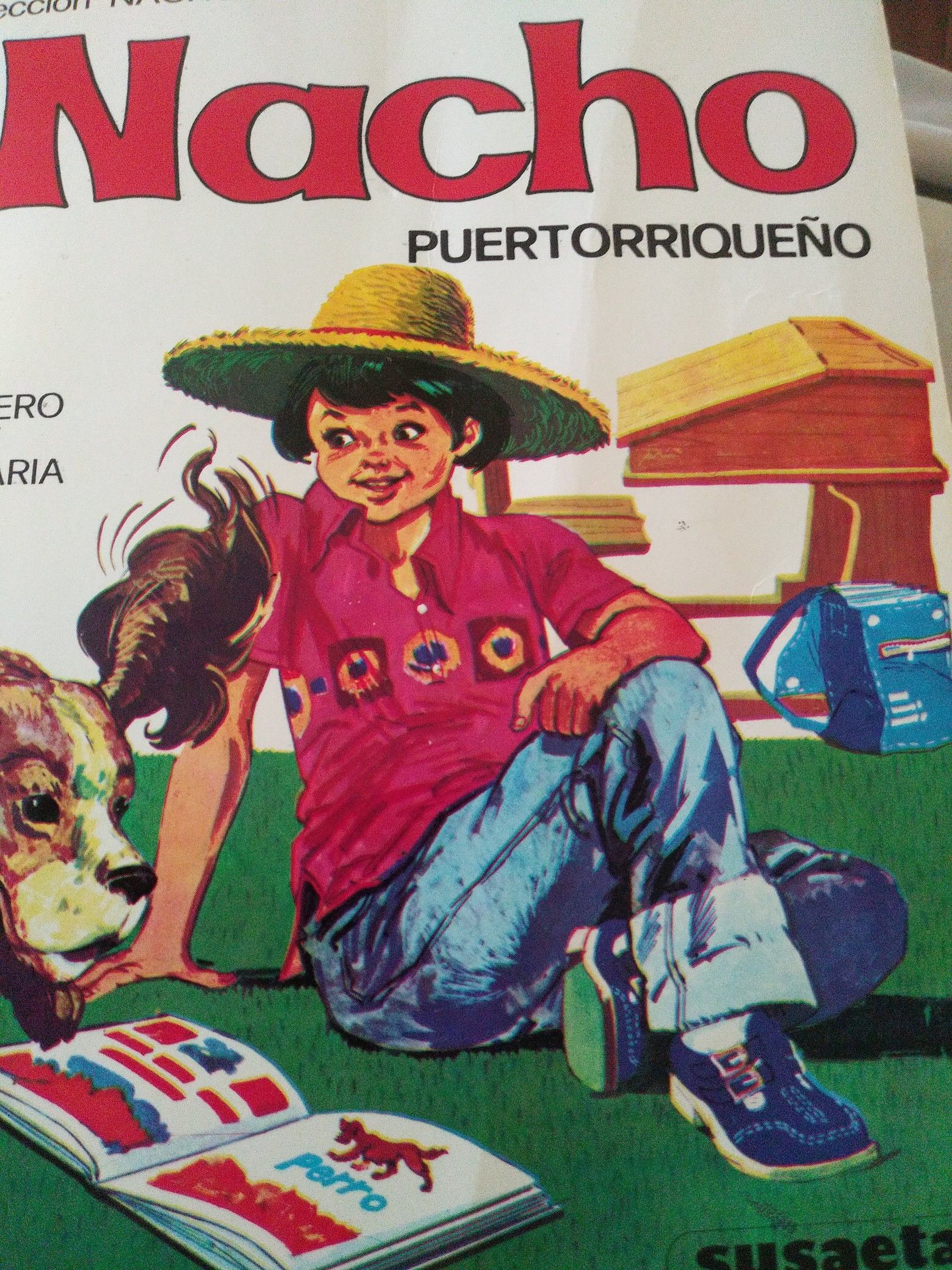 Nachoo lee Puertorriqueño book