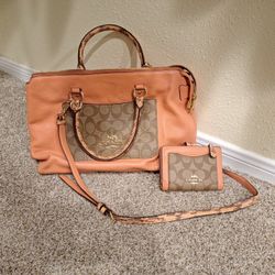 Coach Purse & Wallet 