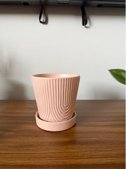 Ceramic plant pot