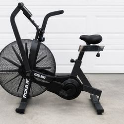 Rogue Echo Bike Air Bike