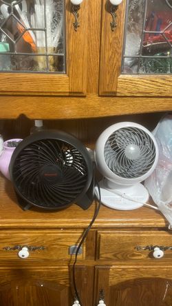Fans
