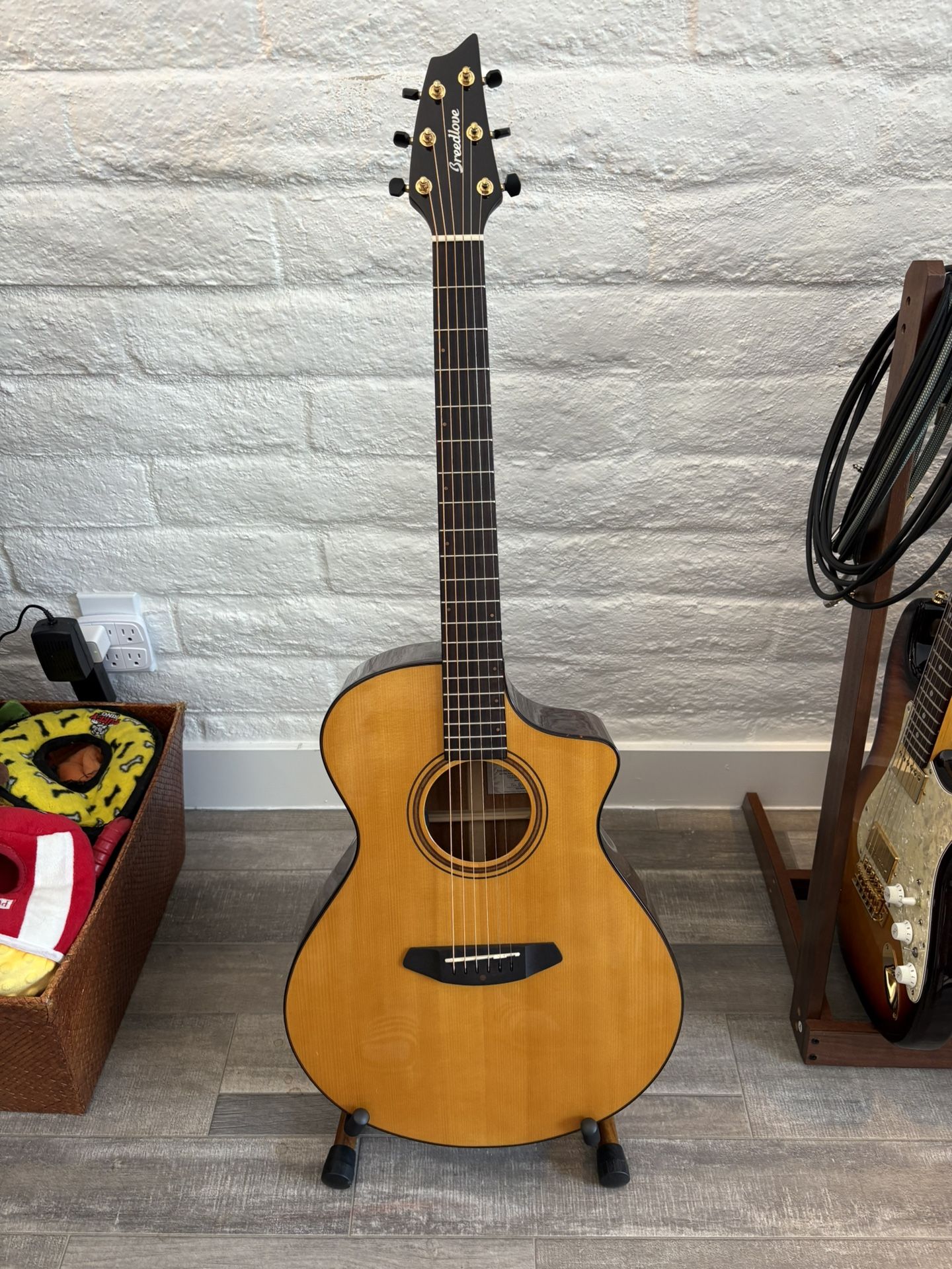 Breedlove Performer Concertina Pro – Excellent Condition – Solid European Spruce / African Mahogany