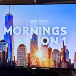 Samsung 48” Smart TV  4K UHD  Comes  On Swivel stand,   Beautiful Clear Picture!