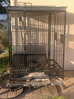 Bird Cage