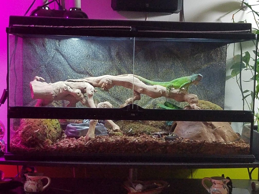 Terrarium